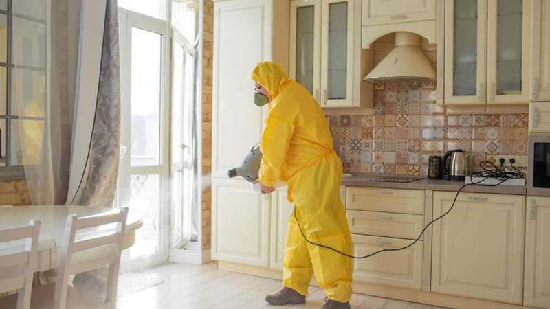 Hawx Smart Pest Control Review: Supporting Cleaner More Eco-Conscious Living for Modern Homeowners