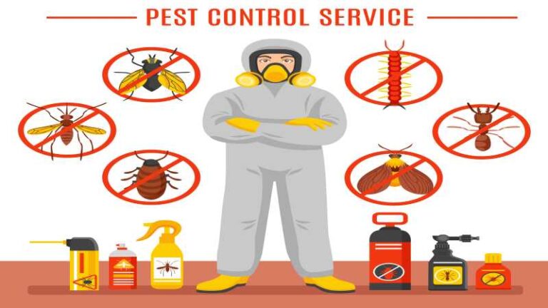 6 Reasons Local Pest Control Always Delivers More Reliable Results