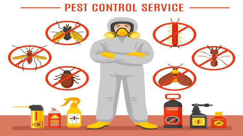 6 Reasons Local Pest Control Always Delivers More Reliable Results