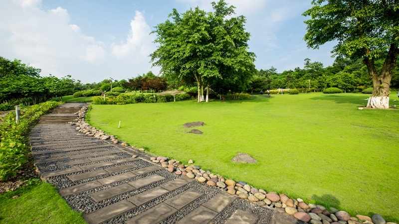 Creative Garden Design Ideas for Beautiful Outdoor Living