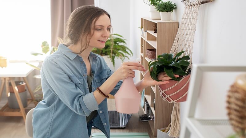 Summer Guest Ready: Simple Home Sprucing Tips
